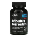 Якірці (Tribulus)