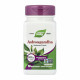 Nature's Way Ashwagandha - 60 vcaps 2022-10-1065