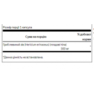 Lions Mane Mushroom 500mg - 60caps