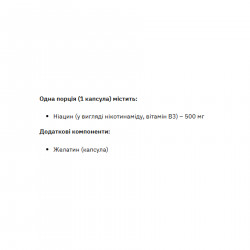 Niacinamide Vitamin B3 500mg - 90 caps