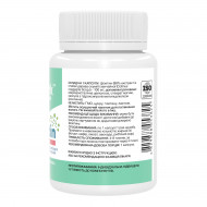 Fisetin Pure 100mg - 60 caps