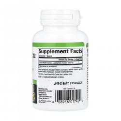 Lactase Enzyme - 60 caps