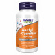 Now Foods Acetyl L-Carnitine 500mg - 50 vcaps (Пошкоджена етикетка) 2024-11-0293