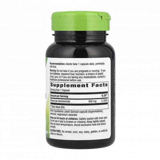 Nature's Way Niacinamide 500 mg - 100 caps 2023-10-6391