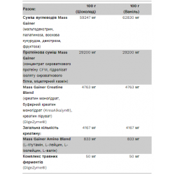 BIg Mass Gainer - 3000g Chocolate
