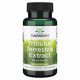 Tribulus Terrestris Extract 500mg - 60caps Tribulus Terrestris Extract 500mg - 60caps