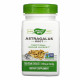 Nature's Way Astragalus Root - 100 vcaps 2022-10-1721 Nature's Way Astragalus Root - 100 vcaps 2022-10-1721