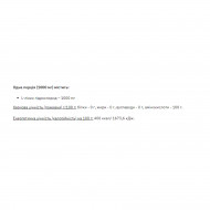 Lysine Powder - 250g (До 08.26)