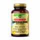 Solgar SFP Ashwagandha Root Extract - 60 vcaps 2023-10-5658 Solgar SFP Ashwagandha Root Extract - 60 vcaps 2023-10-5658