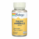 Solaray Fulvic Minerals 100mg - 30 vcaps 2023-10-7162