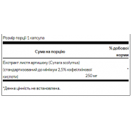Artichoke Extract Standardized 250 mg - 60caps (Пошкоджена банка)
