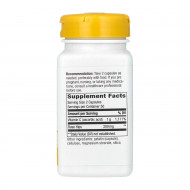 Vitamin C Rose Hips - 100 caps