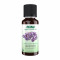 Lavender Oil - 30 ml