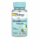 Solaray SharpMind Nootropics Focus - 30 vcaps 2024-11-0250