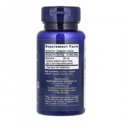 Standardized European Bilberry Extract 100 mg - 90 vcaps