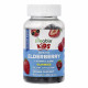 Lifeable Sambucus Elderberry + Vitamin C and Zinc Kids Sugar Free - 60 gummies 2023-10-7295