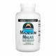 Source Naturals Magnesium Malate 1250mg - 360 tabs 2023-10-2683