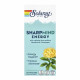 Solaray SharpMind Nootropics Energy - 30 vcaps 2024-11-0251