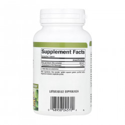 Olive Leaf 500mg - 90 caps