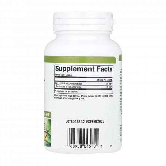 Natural Factors Olive Leaf 500mg - 90 caps 2023-10-5752