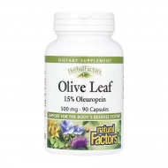 Olive Leaf 500mg - 90 caps