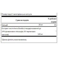 Ginkgo Biloba Extract 120 mg - 100 veg caps