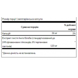 Ginkgo Biloba Extract 120 mg - 100 veg caps