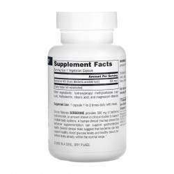 Berberine 500 mg - 60 caps