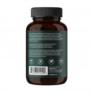 Reishi Mushroom 1000 mg - 60 vegcaps (Пошкоджена кришка)