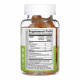 Lifeable Turmeric Curcumin with Ginger & Black Pepper Extract Kids - 60 gummies 2023-10-7298