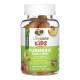 Lifeable Turmeric Curcumin with Ginger & Black Pepper Extract Kids - 60 gummies 2023-10-7298