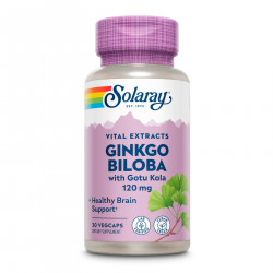 Ginkgo Biloba Extract One 120mg - 30 vcaps