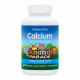 Nature's Plus Calcium Chewable - 90 tabs 2022-10-2862