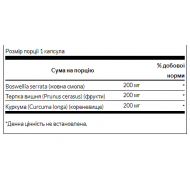 Turmeric Boswellia Tart Cherry - 60caps