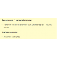 Lions Mane 500mg - 60caps