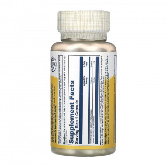 Solaray Pantothenic Acid 250mg - 100 caps 2023-10-6744