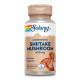 Shiitake Mushroom 600mg - 100 vcaps Shiitake Mushroom 600mg - 100 vcaps