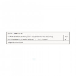 BigFriends Echinacea Alcohol-Free Fresh Herb Tincture for Kids - 50 ml