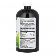 Chlorofresh® Liquid - 16 oz Unflavored