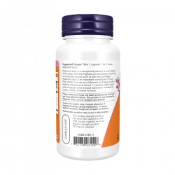 Hyaluronic Acid Double Strength 100 mg - 120 vcaps