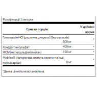 Glucosamine Chondroitin MSM - 90caps
