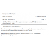 Ginkgo Biloba Standardized Extract 120mg - 100caps