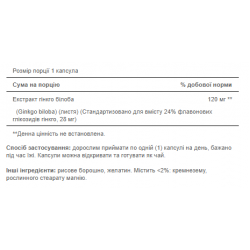 Ginkgo Biloba Standardized Extract 120mg - 100caps