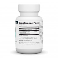 Bilberry Extract 100 mg - 30 tabs