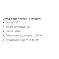 Glucosamine Chondroitin MSM Triple Strength - 60 caplets