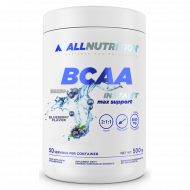 BCAA Max Support Instant - 500g Bllueberry (До 10.26)