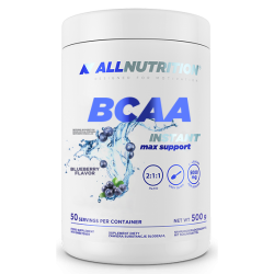 BCAA Max Support Instant - 500g Bllueberry (До 10.26)