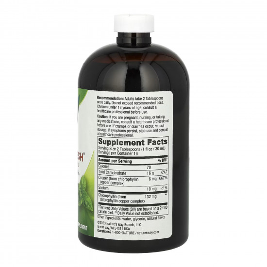 Nature's Way Chlorofresh® Liquid - 16 oz Mint (Пошкоджена банка) 2023-10-7867