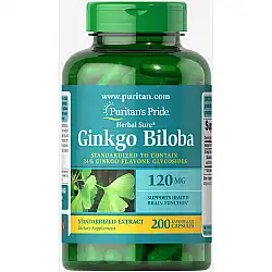 Ginkgo Biloba Standardized Extract 120mg - 200caps
