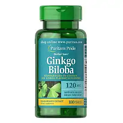 Ginkgo Biloba Standardized Extract 120mg - 100caps
